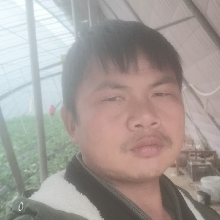 孤狼‘的第一张照片--江西残疾人相亲网